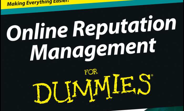 on line reputation for dummies book cover