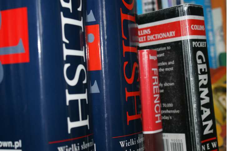 language dictionnaries on a shelf