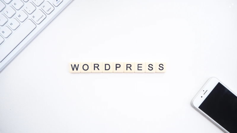 How to Choose an Accessible WordPress Website Design?