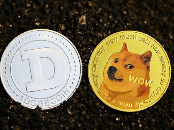 a pair of doge coins on black stones