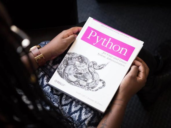 python development book