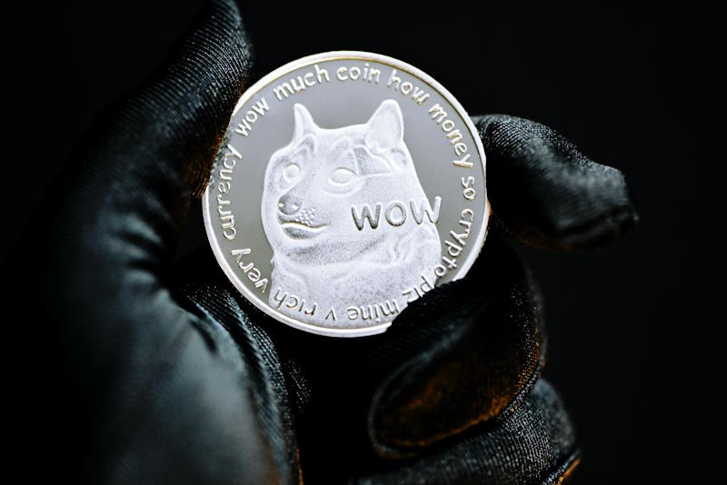 silve doge coin