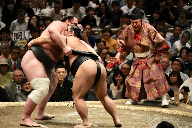 sumo wrestling